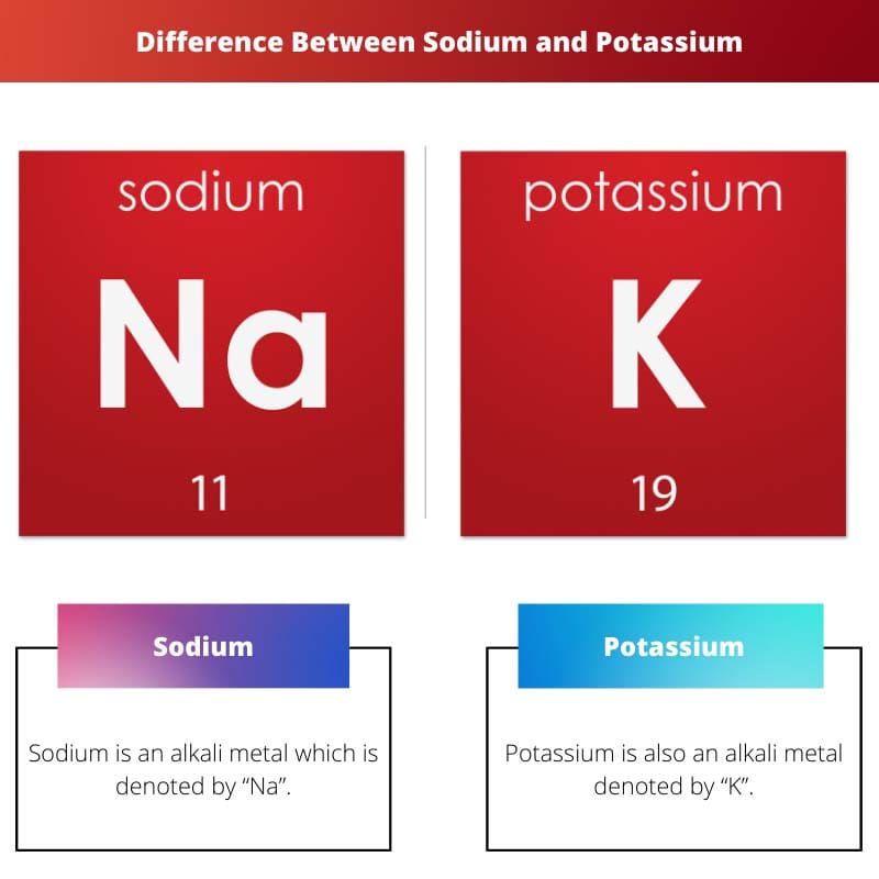 Perbedaan potasium dan sodium