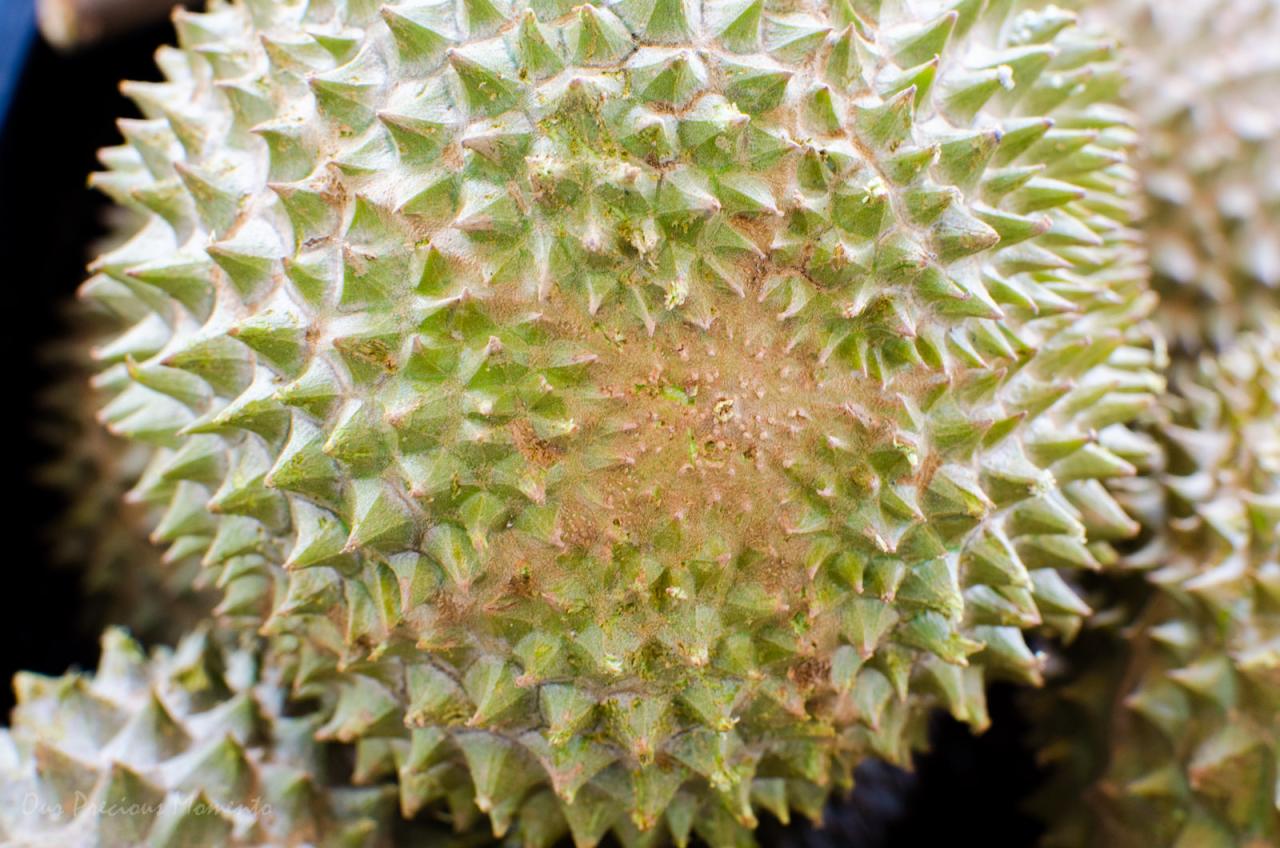 Perbedaan durian montong dan musang king