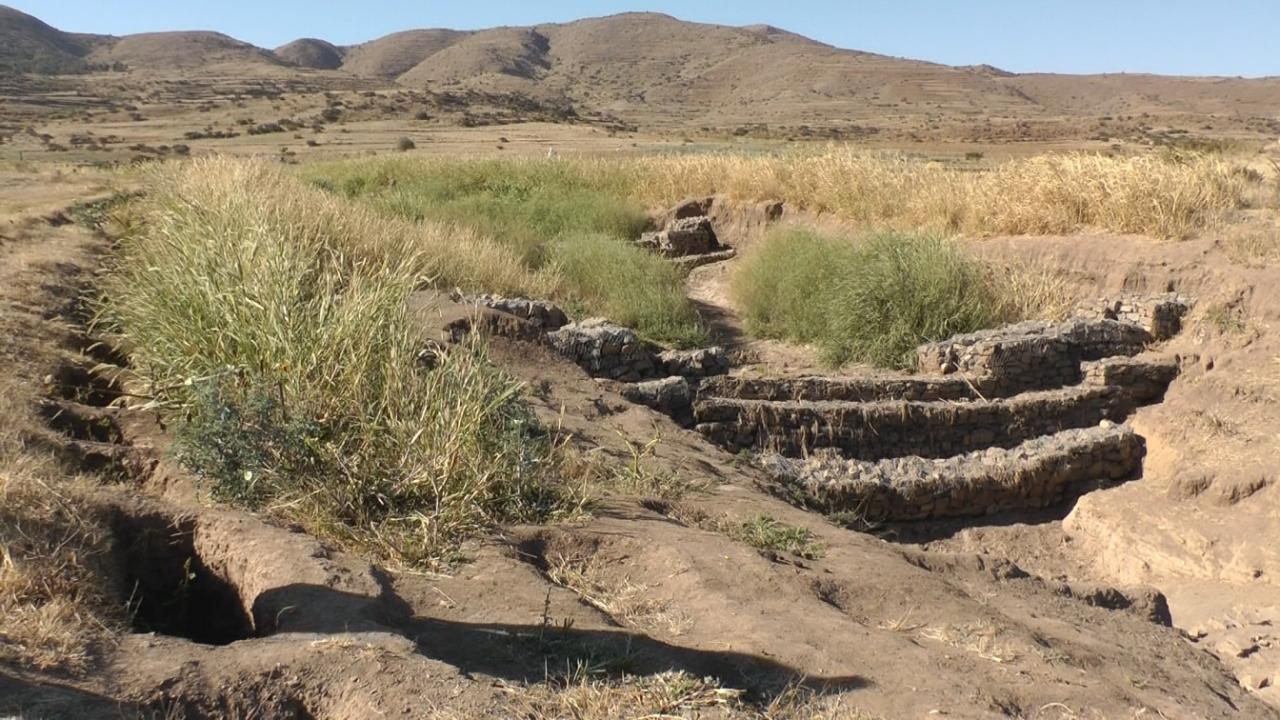 Check gully dam dams brushwood plugs placed fao 1986 across sswm source