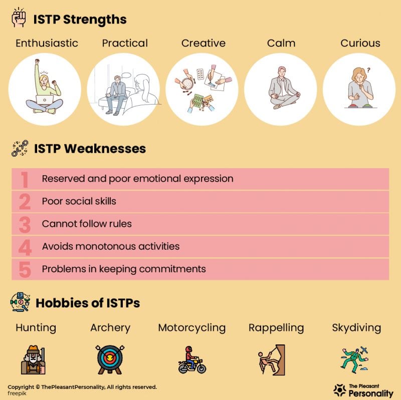 Istp intp personality