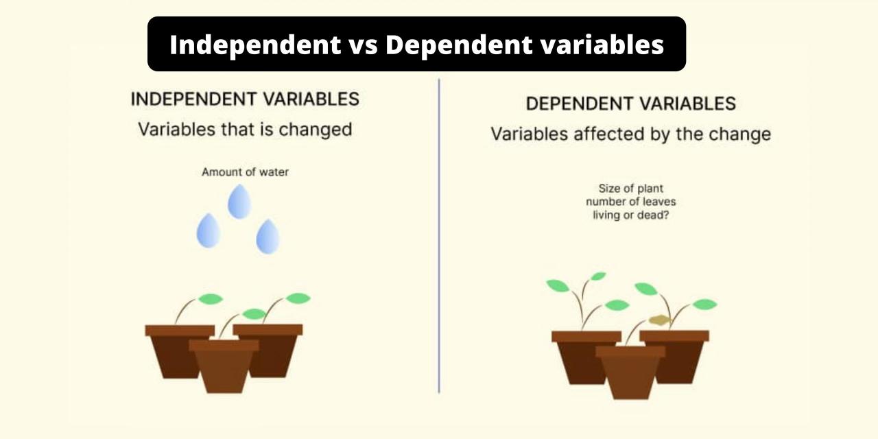 Variables summary quick