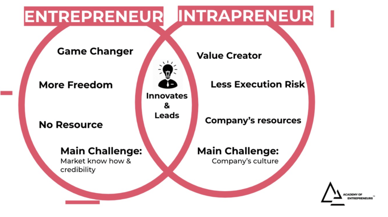 Perbedaan entrepreneur intrapreneur dan technopreneur