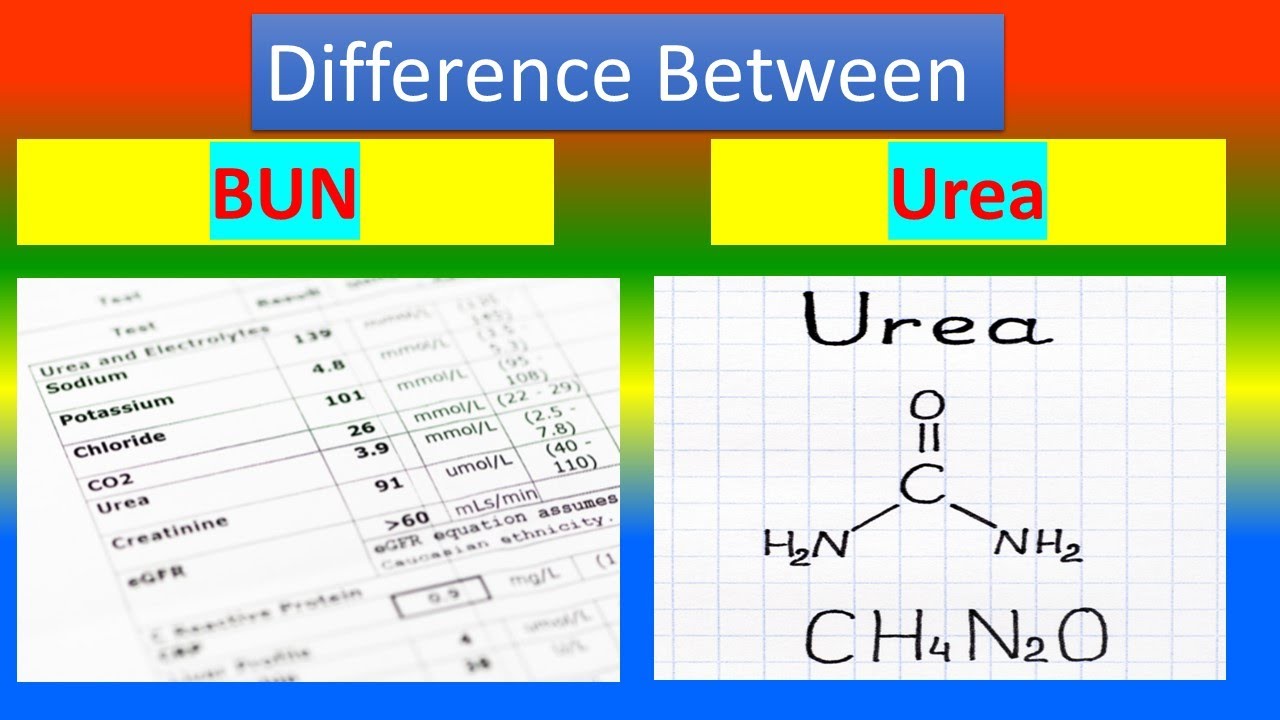 Perbedaan urea dan ureum